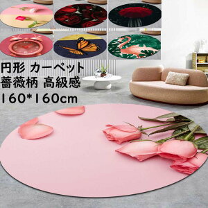 yz􂦂J[ybg KN ԕ ins ~`O a160cm  O}bg I[V[Y BeQ rO X ~ ی^ k jv[g Mtg 킢 