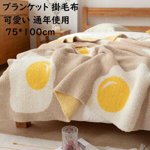 �y���������z���� �u�����P�b�g �|�ѕz 75*100cm �q���T�C�Y �l�G�ʗp �唻 �ѕz �Ђ��|�� ���Q�Ɏg���� �k�� �M�t�g �v���[���g �G�|�� ����� �|���z�c ������ �Ԓ� �I�t�B�X �\�t�@�[�J�o