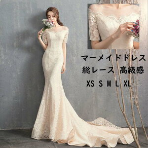 yzEFfBOhX [X }[Ch g[ ㎿  Vp  OhX ԉŃhX ҂ݏグ OB/B tHgEFfBOBe 񎟉 t