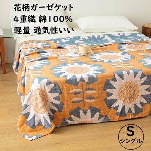 yz4dK[[Pbg Ċ|zc k ԕ K[[ 100% VO 150*200cm DG uPbg [΍ l q Ԃ K   ^IPbg ʋC zU 