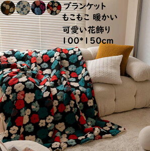 yz{A uPbg |ѕz 唻 100*150cm ԏ ؍ V[v H~ g qǂp l k Ԓ ItBX \t@[Jo[ ѕz  Ђ| QɎg G