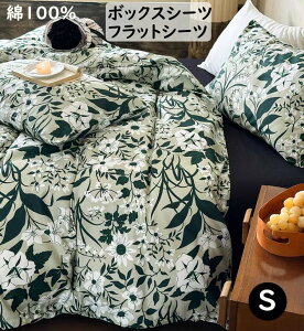 yzzcJo[Zbg g ԕ {bNXV[c/tbgV[c 100 _炩 VOTCY |ӂƂJo[3_Zbg 4_Zbg DG ʋC |zcJo[ Jo