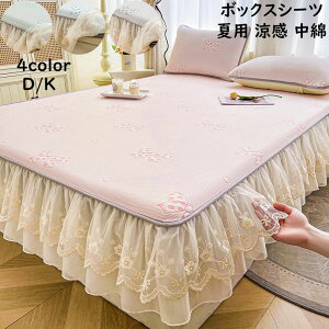 yzڐG⊴!! {bNXV[c xbhXJ[g Jo[ 3_Zbg Pn [X {  t _u LO t _炩 ꂢ  xbhJo[ V[cJo[ 