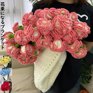 �y�N���X�}�X�M�t�g ���������z�ԑ��u�����P�b�g ���蕨 ���� ���Ԃ� ���� ��҂� �J�[�l�[�V�����u�[�P�u�����P�b�g �����i 60/80/110/160cm ���̎q ���l�ւ̃f�[�g �v���[���g �a���� ���