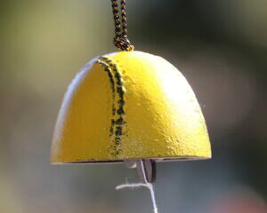  {[ CG[ S S 싅   IV 킢  F  ǂ    F  `H| S Mtg 蕨 v[g    bN