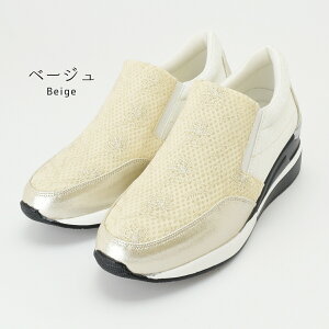 yz Xj[J[ V[Y fB[X Xb| TChSA Cq[ 6.5cmq[ LL hJ Igi ~ ₷ ɂȂ y  30 40 50 60 s v