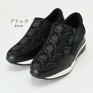 yz Xj[J[ V[Y fB[X Xb| TChSA Cq[ 6.5cmq[ LL hJ Igi ~ ₷ ɂȂ y  30 40 50 60 s v