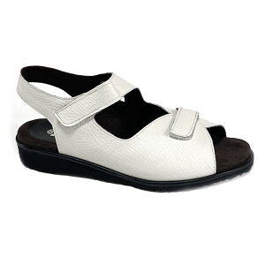 y}\Si10OFFN[|I10z5e L b U[ T_ fB[X {v O C  y RtH[gV[Y ~ZX   wlC ₷ { 3