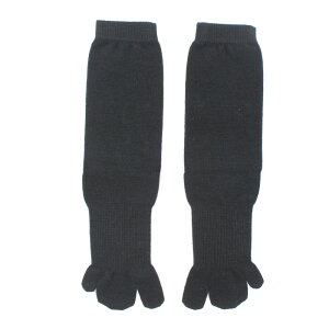 y3{w̓\zOE T|[g\bNX A[`  Ε ɂ y 񂮂 C EH[LO fB[X {