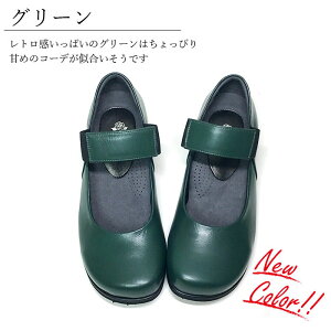 _LO1ʊl^O  Xgbv pvX 傫TCY CY 5e ɂȂ {v L b RtH[gV[Y fB[X 킢 ₷  Ǝ w