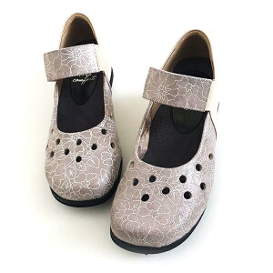 _LO1ʊl^O  Xgbv pvX 傫TCY CY 5e ɂȂ {v L b RtH[gV[Y fB[X 킢 ₷  Ǝ w