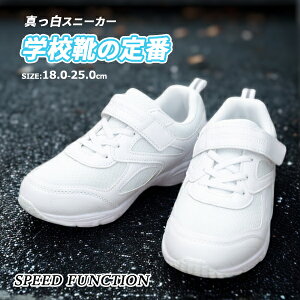 yzSPEED FUNCTION Xs[h t@NV y Xj[J[ tNZySPF31800z }WbNe[v xN LbY WjA qp j̎q ̎q 㗚 ^C qC ʊwC C 