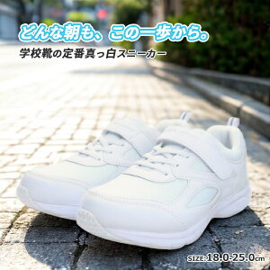 yzSPEED FUNCTION Xs[h t@NV y Xj[J[ tNZySPF31800z }WbNe[v xN LbY WjA qp j̎q ̎q 㗚 ^C qC ʊwC C 