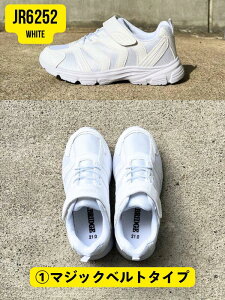 yz O ^Xj[J[ WjA P.B.BRIDGE REZL yJR6252-6310z JR6252 JR6310 j̎q ̎q 㗚 wZ ʊw ̈ }WbNxg [XAbv y Ȑ ~ 