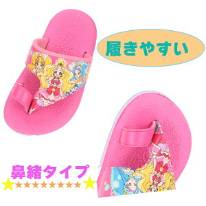 y݌Ɍz AEgbg WjA T_ vZXvLA hLhLvLA yPRECUREz 󂠂 ꕔEꂠ ݁Eׂ ܔj ̏ꍇ precure