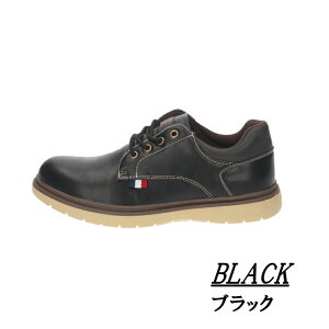 yz LIBERTO xg EDWIN GhEB Y am V[Yyl50536z jp am ʋ ʊw i Vv IV Sn l50536