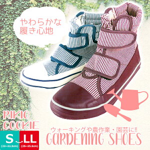 ͉NbL[ oJiCYXj[J[ fB[X ͉ yCKEz RIKIO COOKIE h nCJbg qbR[ XgCv }WbNe[v _ _Ƒ̌ K[fjO cke