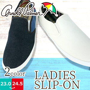 ARNOLD PALMER A[mhp[}[ Xb|V[Y fB[X _C}c yAL0622z LoX TChSA NbV Ȑ h al0622