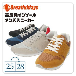 yzGratefulDays OCgtfCY rbO[h Y jp yʃ[JbgXj[J[yGFD203Bzy ɂ RC ЂC C\[ NbV ʋ ʊwgfd