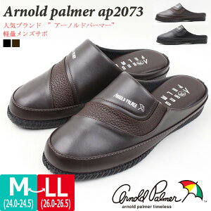 Y T{ y Arnold Palmer A[mhp[}[ _C}c ap2073