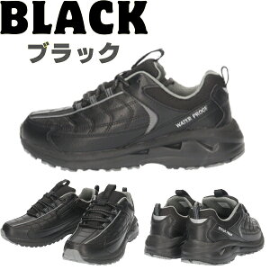 yzXST h Xj[J[ Y am jp yXST217z 4cm×4Ԗh y ₷ L 5E Ch t@Xi[ RC JbvC\[ ʋ ʊw i JWA Vv