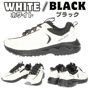 yzXST h Xj[J[ Y am jp yXST217z 4cm×4Ԗh y ₷ L 5E Ch t@Xi[ RC JbvC\[ ʋ ʊw i JWA Vv