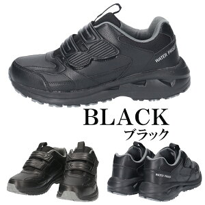 yzXST h Xj[J[ Y am jp yXST218z 4cm×4Ԗh y ₷ L 5E Ch }WbN JbvC\[ ʋ ʊw i JWA Vv xst