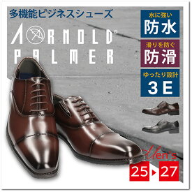 【あす楽】【送料無料】ARNOLD PALMER アーノルドパーマー メンズ 男性用 防水 ビジネスシューズ イケベ【AP1731】幅広3E 4cm×6時間防水 防滑 抗菌 防臭 レースアップ 定番 本革風 ゴア クッションインソール 仕事 外回り 営業 就職活動 フォーマル 冠婚葬祭□ap1731□mbou