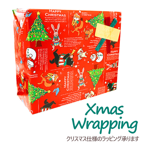 お誕生日やお祝い事など モデル 大切な方への贈り物に あす楽 プレゼント ギフト包装 心を込めてラッピングします クリスマスタイプ アルファベットタイプ Wrapping Select Wrapping Select キッズタイプ