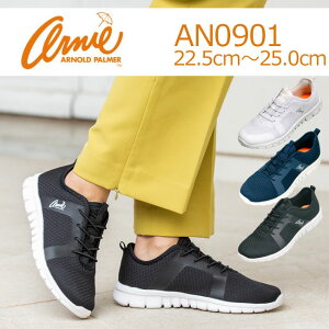 A[mhp[}[ Xj[J[  bV  fB[X Arnold Palmer AN0901 [Jbg Vv y