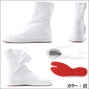 ی }S Ղ葫 Ցt@Xi[ 7y YTCY fB[XTCY n  ^r ܂肽 Ղ肽