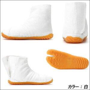 ی }S Ղ葫 ǂՂWO LbYTCY WjATCY qTCY }WbNe[v n  ^r ܂肽 Ղ肽