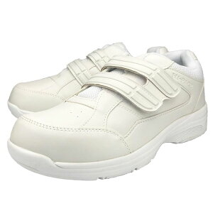 Hi-PACE Y Xj[J[  }WbN L 4E y ʊw ʋ  ˔ EH[LO C 0204