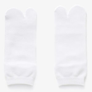 ی }S ՂpC ՌC lp nܗp Ղ葫ܗp Ցܗp YTCY fB[XTCY ~ߕt