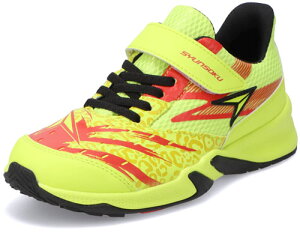 u V\N h JJ-207 SJJ2070 LbYXj[J[ 2.5Ej 19.0cm`24.5cm WjA