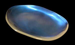 FATA r[Y^ M 2F YOSHIHIKO FUJII h `H|  H@Ή 蕨 ]