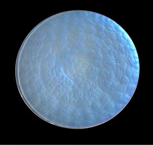 FATA C[v[g SML 3TCY YOSHIHIKO FUJII h `H|  H@Ή 蕨 ]