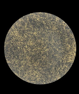 RANSHI (}bgdグjtbgv[g(D)  KX KXH KX H H@Ή  M M ێM v[g h 邵 `H| h ] YOSHIHIKO FUJII 蕨 Mt