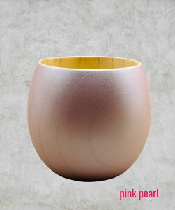 ؐ@GbOJbv@PRRLA p[F H@Ή Jbv h 邵 `H| h ] YOSHIHIKO FUJII 蕨 Mtg v[g