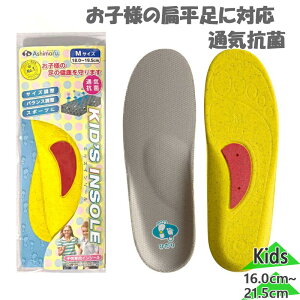 [֔ AV} WjA LbY LbYC\[ V[PApi q C\[ ~ TCY jp ʋCR d˕~ ASHIMARU CH100