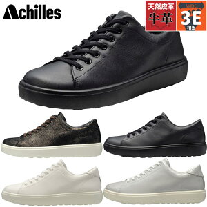 3E L Ch ALX \{ fB[X N 512 Xj[J[ C V[Y {v v JWA zCg  ubN   ACHILLES SORBO ANF5120