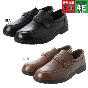 4E L Ch St Y VeBSt C V[Y JWA Xb| {v v vC amC dグ  GOLF GF8503