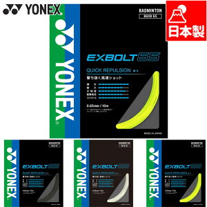 lbNX Y fB[X GNX{g65 oh~g ANZT[ Z { 10m Q[W0.65mm YONEX BGXB65