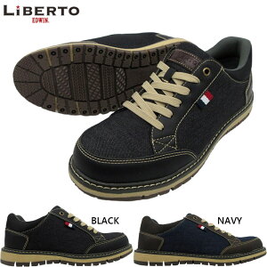 xgGhEB Y C V[Y JWA RC [Jbg fj h ɂ ʋ ʊw i s ubN  lCr[ LIBERTO EDWIN L50497