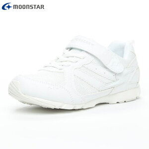 X[p[X^[ WjA LbY K[Y ̎q C V[Y Xj[J[ ol̃`JB ^C ʊw ̈  y y C zCg  SUPERSTAR 12281801