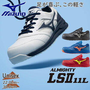 3E L Ch ~Ym Y fB[X I[}CeBLS II 11L SC ƌC [N IV ɂ ϊ ϖ y gbN zCg  ubN  u[ bh   