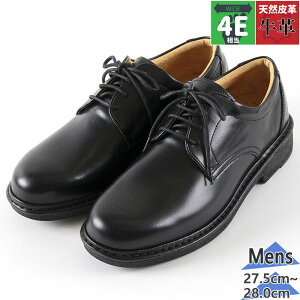 傫TCY 4E L Ch iVeo`m Y C V[Y {{vV[Y  tH[} ʋ EH[LO _炩  ubN   Rinescante Valentiano 1370