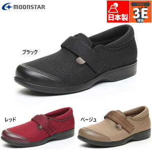 3E L Ch [X^[ fB[X 炭炭 L019 C V[Y JWA  y ܂Âɂ E炭 ubN  bh  x[W  MoonStar 12421882 12421886