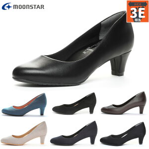 3E L Ch [X^[ fB[X SUGATA MS SGT501 pvX C V[Y ItBX d ʋ JWA y 炩 R hL 5cmq[ ubN  O[ lCr[ J[L DF 