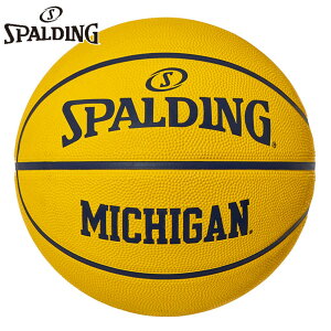 7(jqʗp) X|fBO X|[c Y ~VK CY o[ oXPbg{[ ANZT[ O CG[ F spalding 85-132J